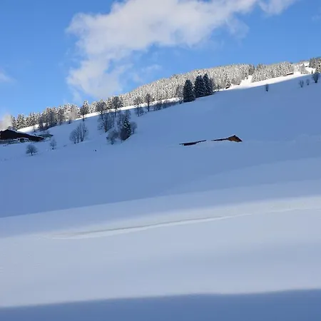 Gundi Ripper Appartement Saalbach-Hinterglemm